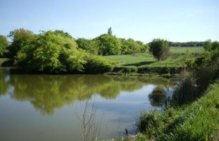 Озеро в поселке Чекон