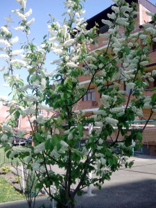 Психологический   портрет   покупателя   квартиры   в   Анапе 