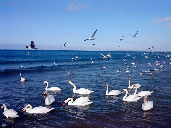 Зима в Анапе