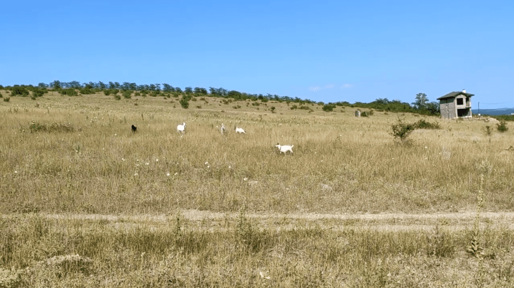 Фото хутора Курбацкий 23.07.2020_17