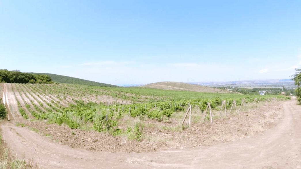 Фото хутора Бужор 17.08.2020_2