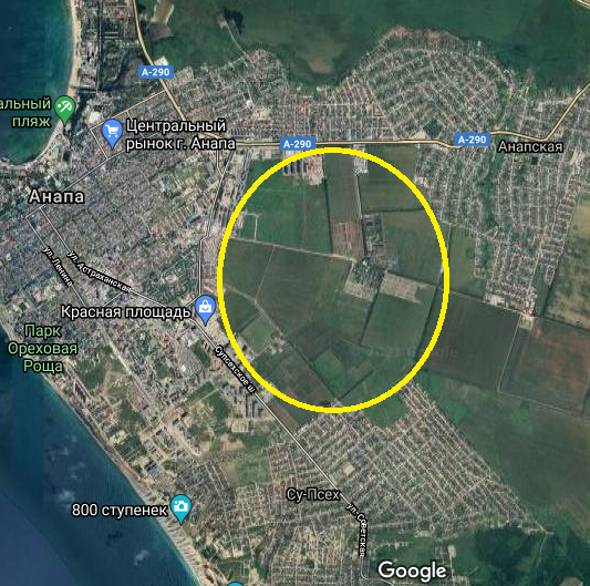 Власти Анапы судятся с арендаторами участков площадью 62 гектара