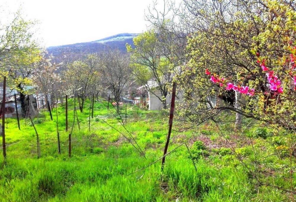Село Варваровка 29.07.2019_14