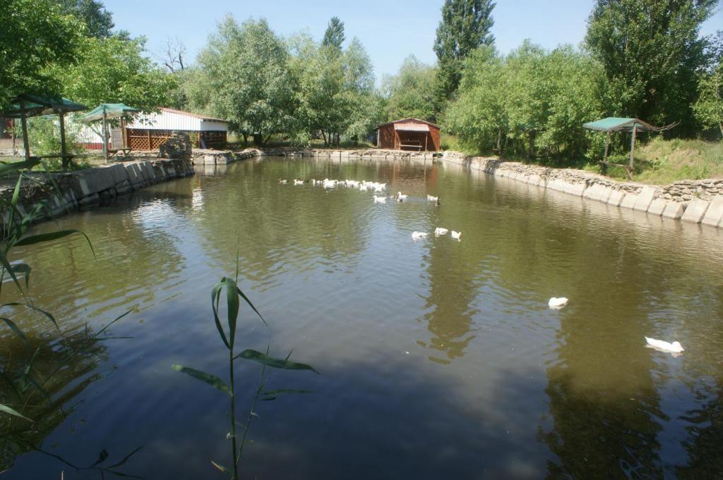 Фотографии хутора Чекон 01.08.2019_7