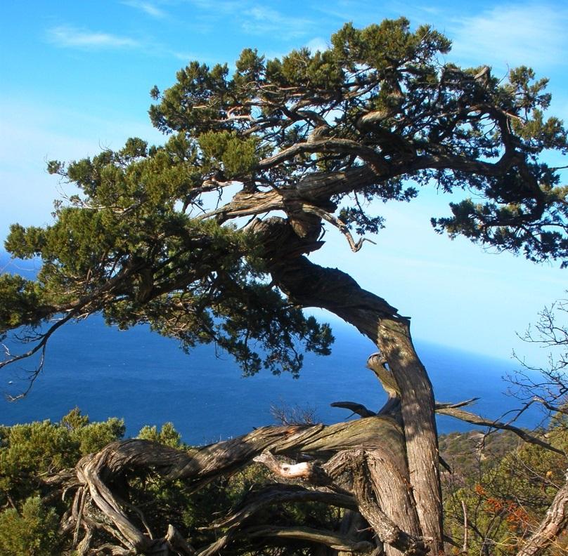 Заповедник 