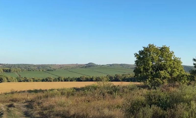 Панорамный вид на коттеджный поселок "Виноградная долина"