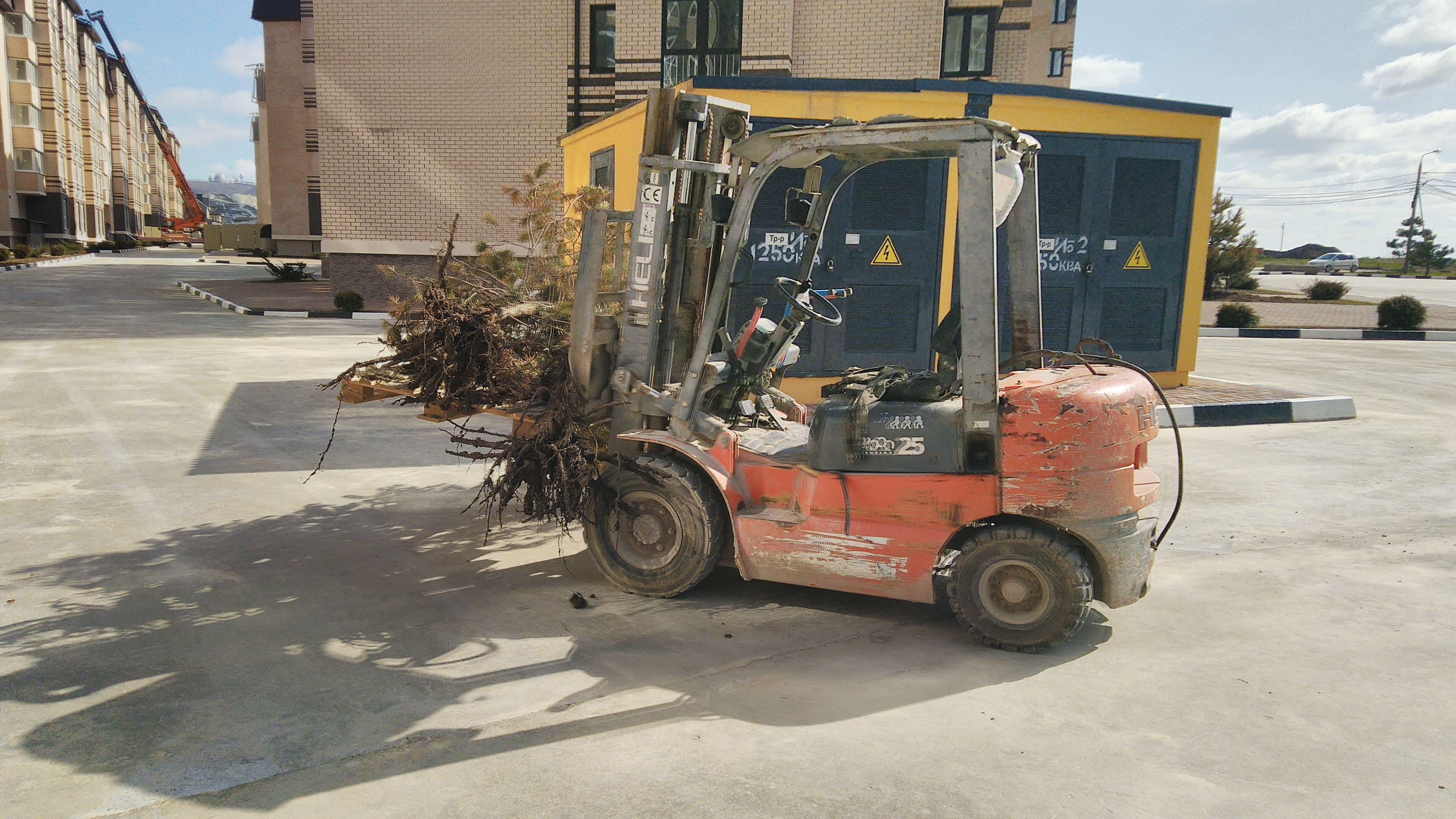Фото ЖК Бельведер 10.08.2019_17