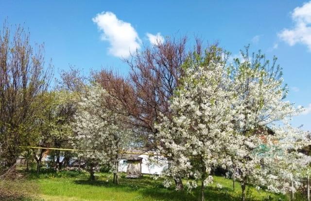 Хутор Воскресенский 26.08.2019_20