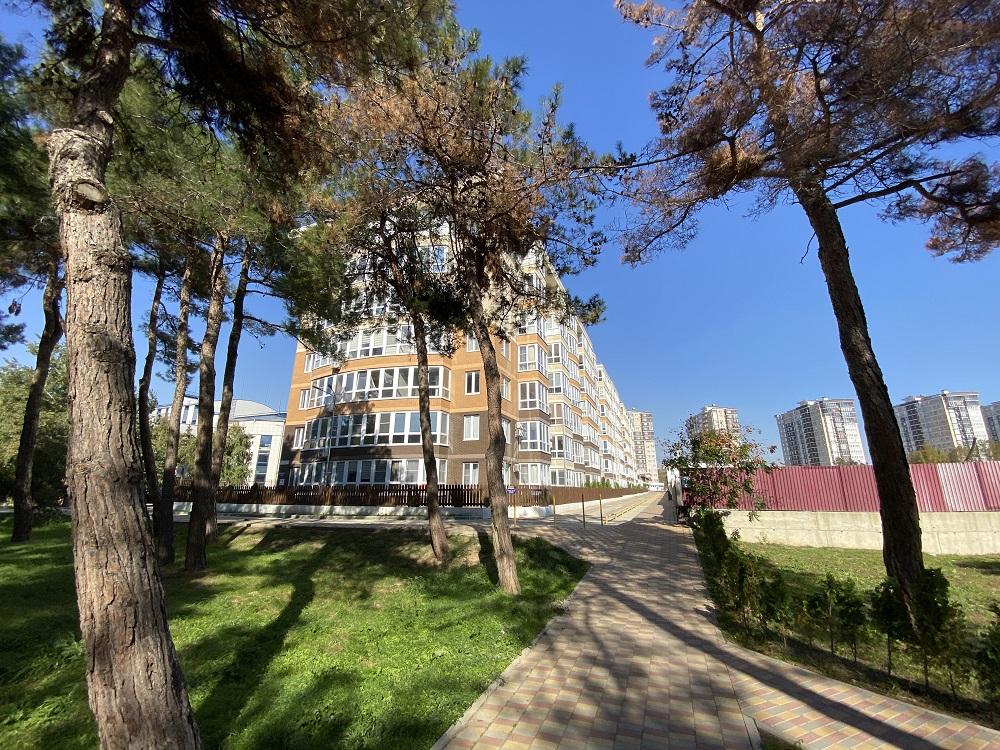 Желающим сдавать апартаменты в аренду придётся оформить ИП