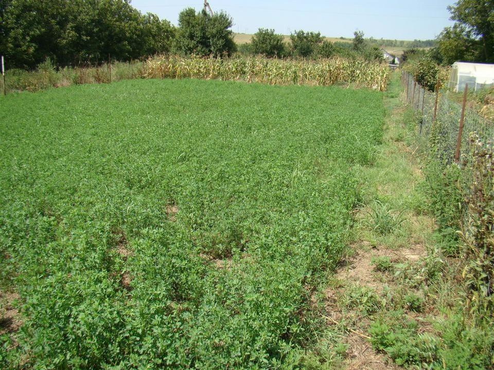 Фотографии посёлка Уташ 30.07.2019_10