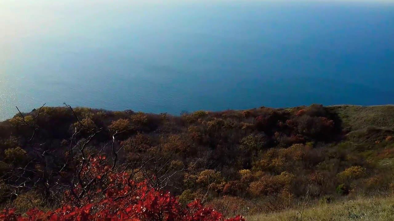 Фотографии Супсеха 29.07.2019_22