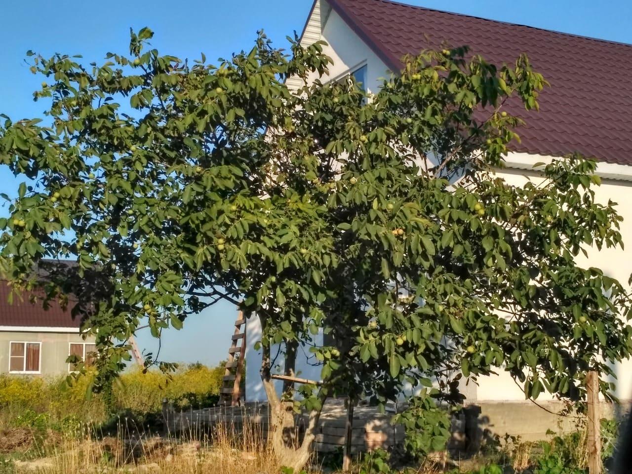 Хутор Воскресенский 26.08.2019_19