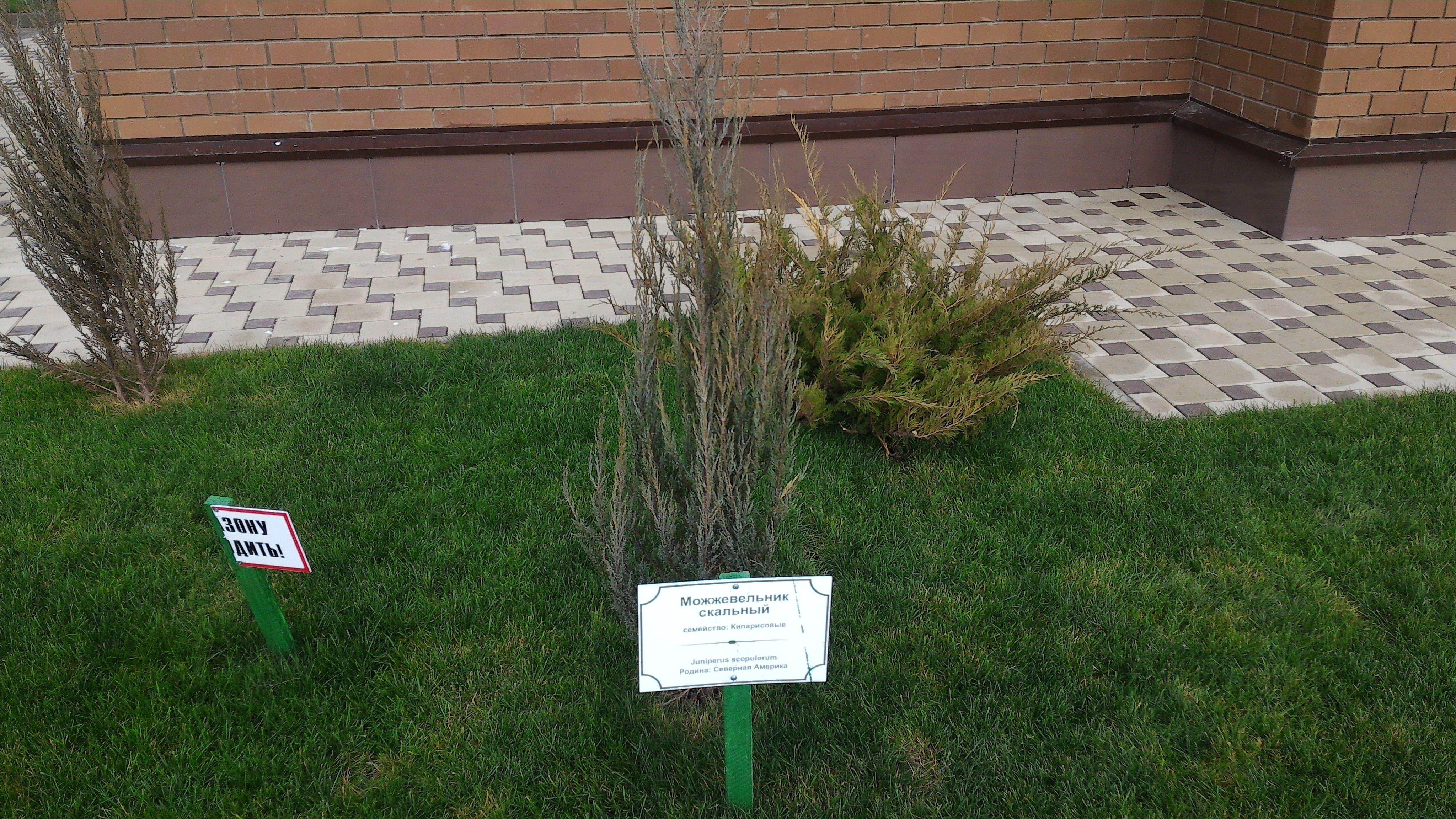 Фото ЖК Раз, Два, Три 10.08.2019_6